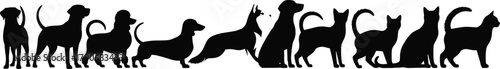 Dog, cat, silhouette, pet, animal, breed, posture, walking, sitting, standing, black, vector, illustration, domestic, graphic, companion, furry, cute, design, contrast