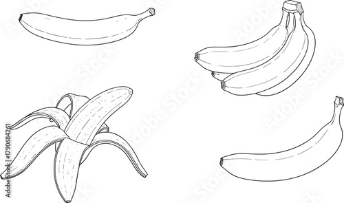 Banana fruit line drawing set, peeled banana sketch, bunch vector artwork, tropical food outline illustration, black and white cad style design
