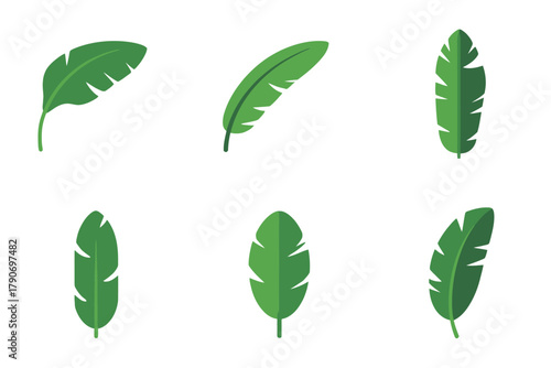 Collection of six green banana leaves in flat design.