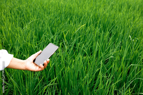 Smart farming technology - Hand with mobile device in green agricultural field for intelligent crop management