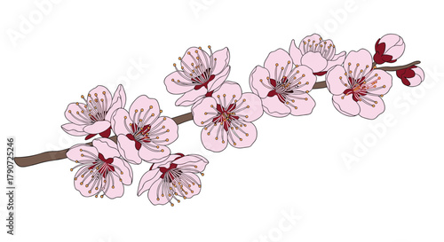A delicate branch adorned with numerous delicate pink blossoms in full bloom signifying the arrival of springtime.