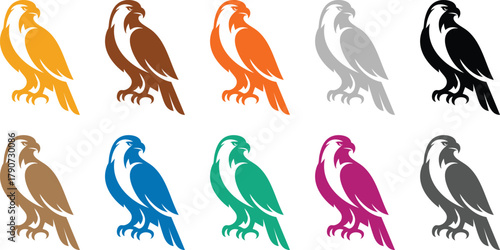 Falcon bird silhouettes in different colors, Multicolor falcon bird icons for design