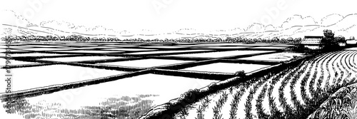 Black and white illustration of rice paddies, cultivated fields, and a distant house set against hills and a dense tree line.