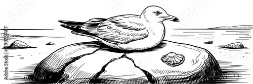 a seagull resting on a cracked rock with a calm sea and distant shoreline in the background.