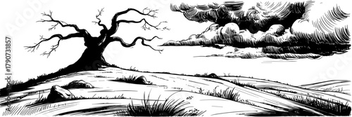 a lone leafless tree on a windy hillside, with heavy storm clouds forming across the open landscape.