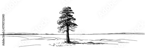 a solitary tree standing in a wide, empty landscape, ideal for themes of solitude, nature, calmness, and minimalism.