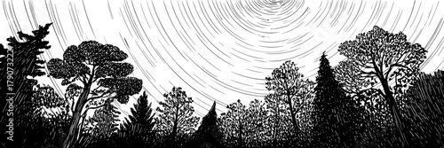 swirling star trails in the night sky above dense forest trees in a dramatic silhouette.