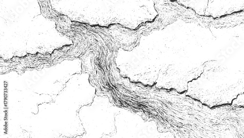 Black and white abstract textured background with organic wavy lines and cracks vector