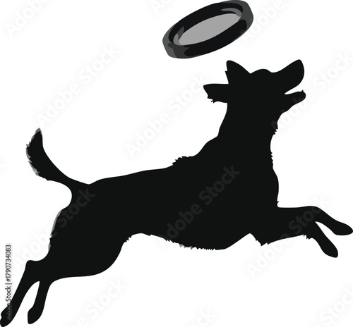 Energetic dog leaps to catch a frisbee mid-air against a white background.