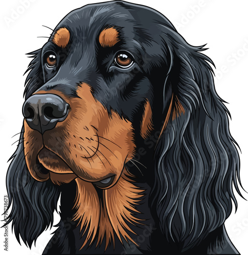 Gordon Setter dog face closeup headshot vector illustration