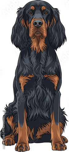 Gordon Setter dog sitting facing front vector illustration