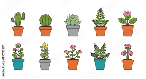 A collection of ten potted plants, including cacti and ferns, displayed against a white background.