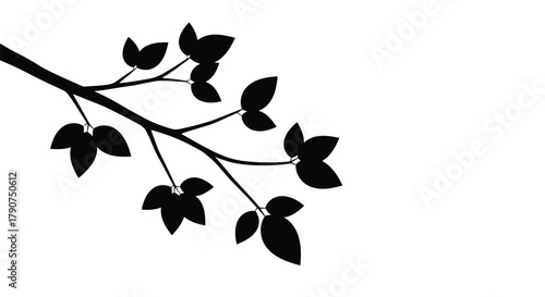 A silhouette of a tree branch with leaves against a white background.