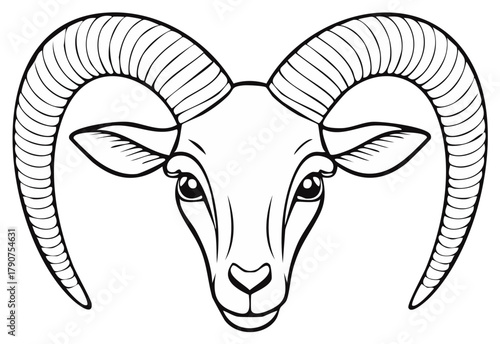 Majestic Ram Head Front View Line Art Illustration with Detailed Curled Horns