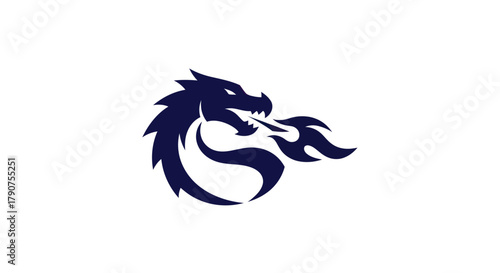 Stylized dragon illustration on white background for graphic design