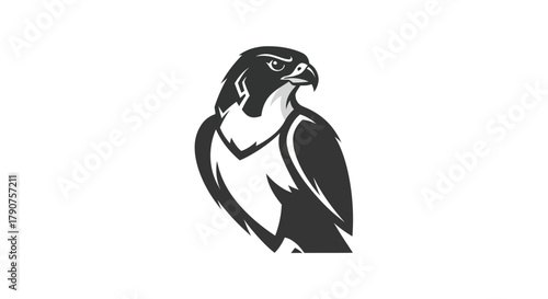 Stylized falcon illustration black and white bird of prey on white background