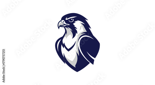 Stylized falcon illustration on white background for emblem design