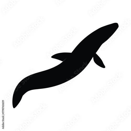 lamprey silhouette primitive fish vector ocean
