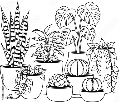 A collection of various potted plants and succulents are arranged in a decorative setting.