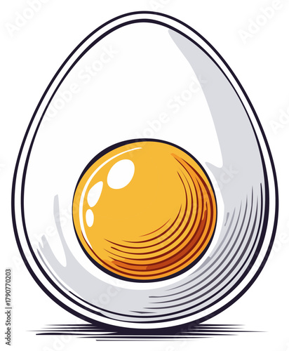Illustration of a sliced hard boiled egg with yolk