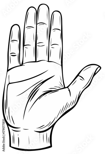 Stylized open palm facing forward with fingers spread in a flat illustration line art style