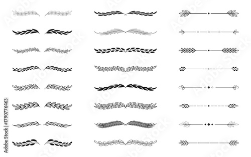 Laurel and floral text dividers set. Divider ornament with branches leaves. Hand drawing branches collection. Herbs, flowers and plants elements. Wedding design elements.