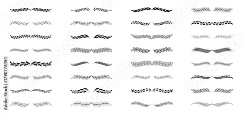 Laurel and floral text dividers set. Divider ornament with branches leaves. Hand drawing branches collection. Herbs, flowers and plants elements. Wedding design elements.