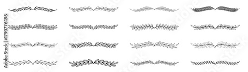 Laurel and floral text dividers set. Divider ornament with branches leaves. Hand drawing branches collection. Herbs, flowers and plants elements. Wedding design elements.