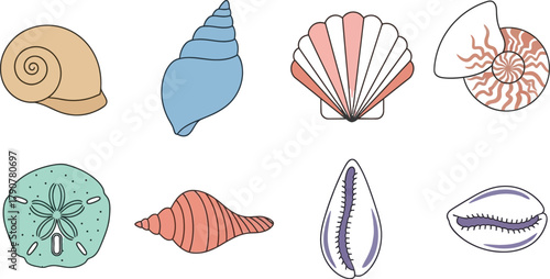 Collection of colorful seashells and sand dollars on a white background