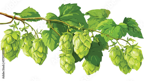 Green Hops and Leaves Vector Collection for Creative Designs