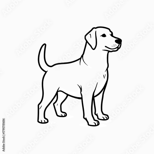 Labrador dog standing in a simple outline style  