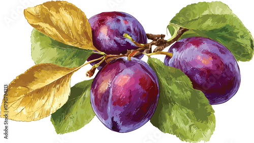 Vibrant Drawing of Purple Plums with Green Leaves and Gold Leaf