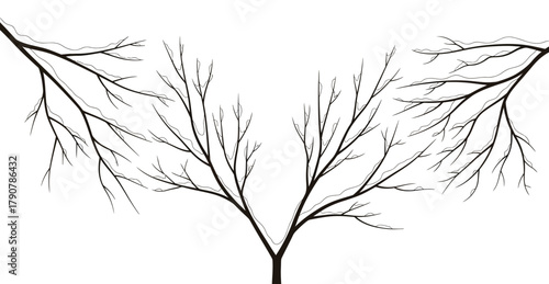 Bare winter tree branches covered in snow against a gray gradient background
