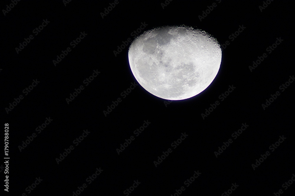 Fototapeta premium Beautifull moon