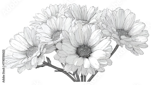 Vibrant Daisy Flowers Bouquet Vector Illustration for Design Projects