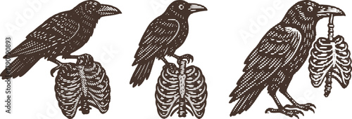 Dark Academia Raven Ribcage Linocut Art - Macabre Gothic Bird Illustration Set - Black & White Vintage Engraving Style Print