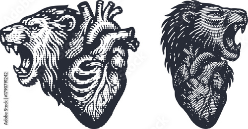 Roaring Lion Heart Linocut Illustration – Bold Black and White Animal Fusion Design, Engraved Vintage Style Artwork for Tattoo, Print, Poster, and Graphic Decoration