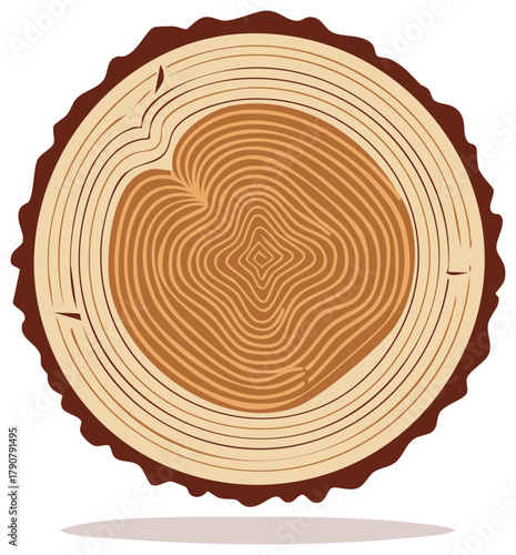 Illustrated tree trunk slice showing rings, texture, and bark details for forestry design elements.