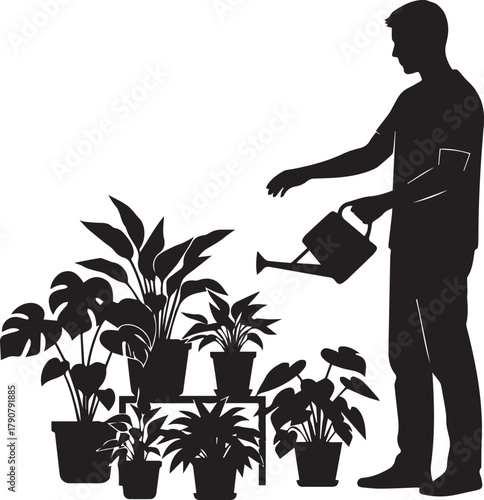 Silhouette of a man watering houseplants caring for greenery home gardening hobby concept