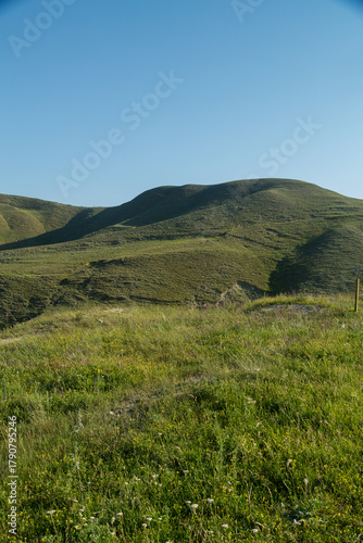 Mountain landscape green forest and mountains on a sunny morning