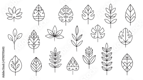 A seamless pattern vector set of vintage wheat ears illustration with leaf and floral elements for an autumn nature design decoration