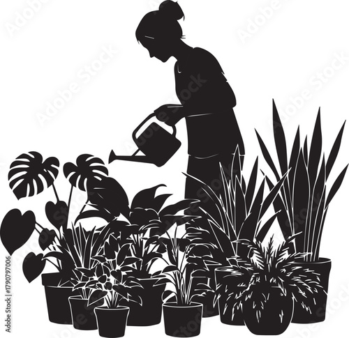 Silhouette of a person tending to a collection of indoor houseplants with a watering can