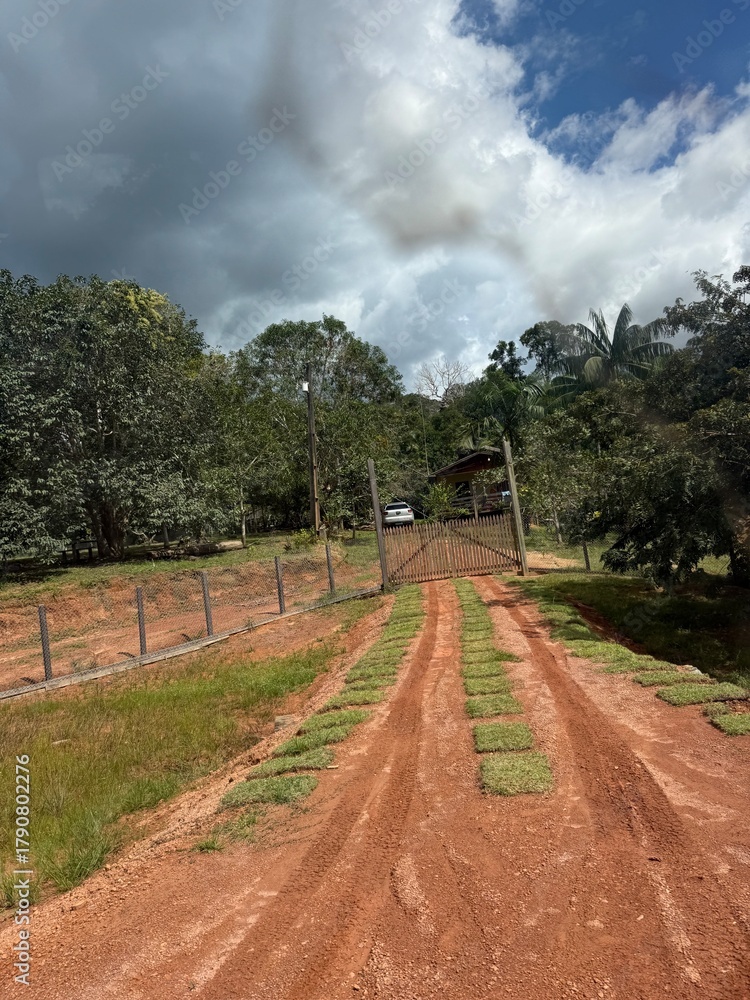 Fototapeta premium The road in countryside 