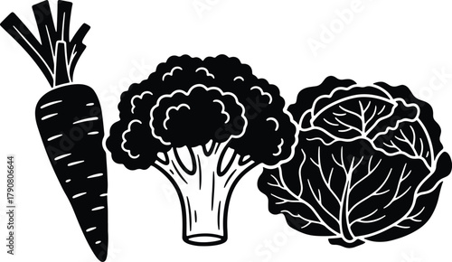 Black and white outline drawing of fresh carrot broccoli cabbage