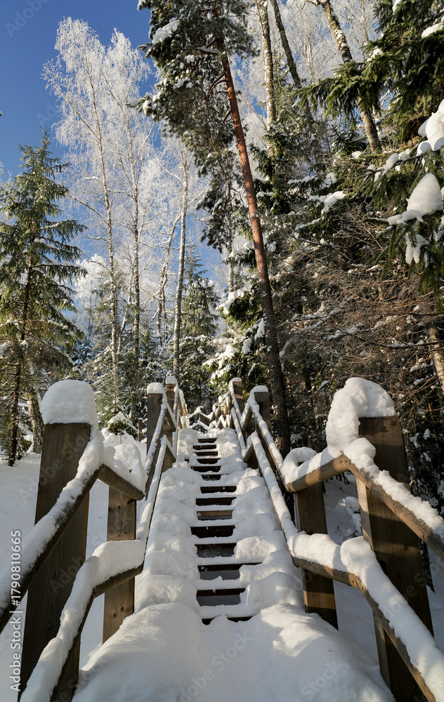 Fototapeta premium snowy wooden stairs in forest