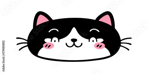 black cat with a big smile