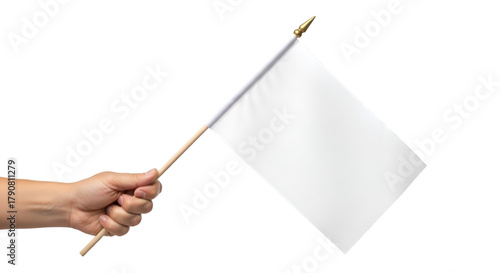 Hand Holding Small Blank White Flag graphic design