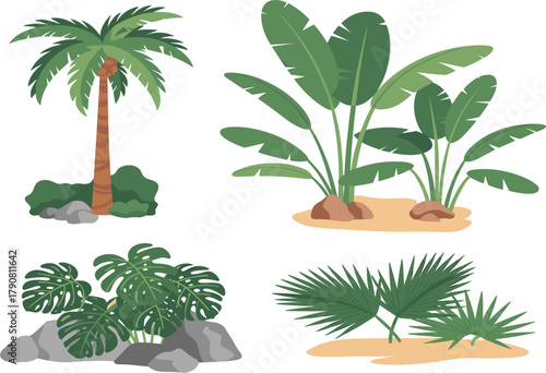 Vector Tropical Plant Set, Palm Tree, Monstera, Banana Leaves, Lush Green Foliage, and Exotic Nature Collection