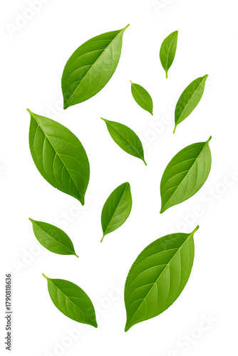 Vibrant Green Leaves Falling Natures Grace High quality Realistic image.