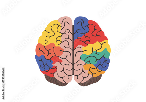A vibrant multicolored human brain shown from the side with distinct colorful regions in flat vector style, perfect for psychology, neuroscience, education, or mental health concepts.